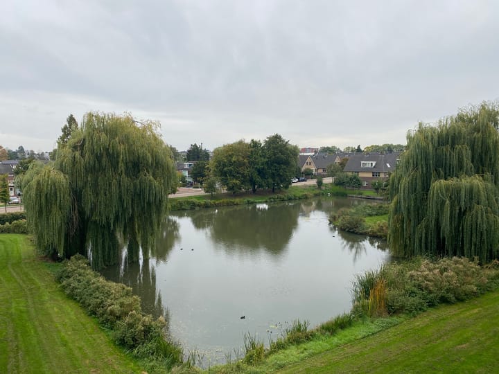 Foto 16 van Oltmansstraat 69