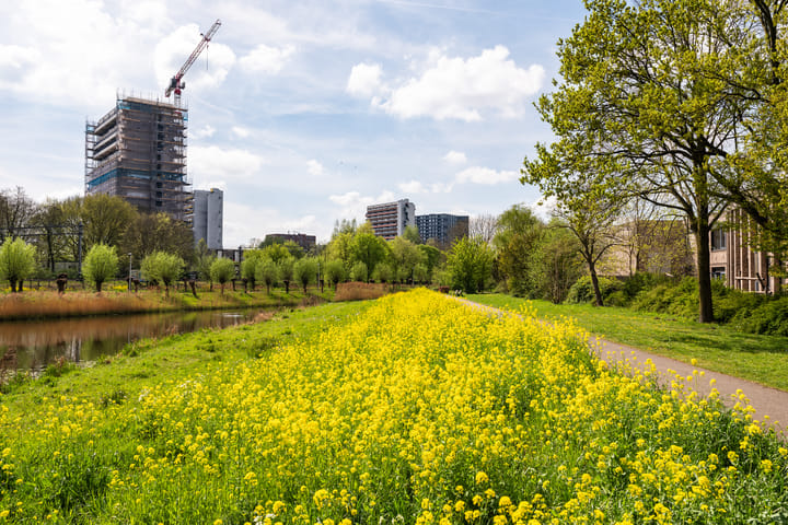 Foto 31 van Othellodreef 45-A