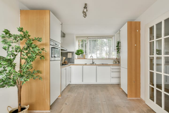 Foto 6 van Louis Couperussingel 4