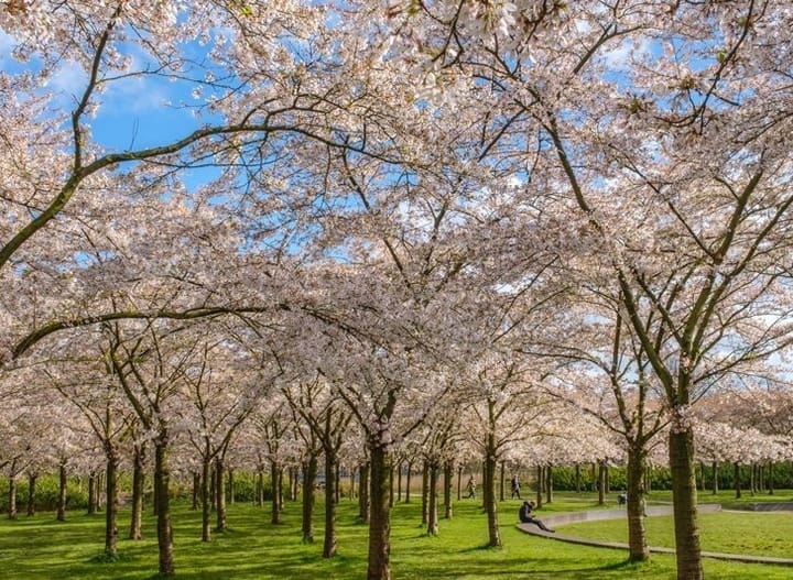 Foto 39 van Louis Couperussingel 4