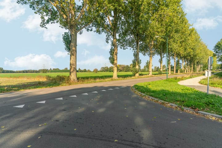 Foto 48 van Peellaan 169