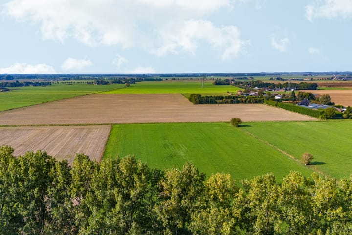 Foto 50 van Peellaan 169