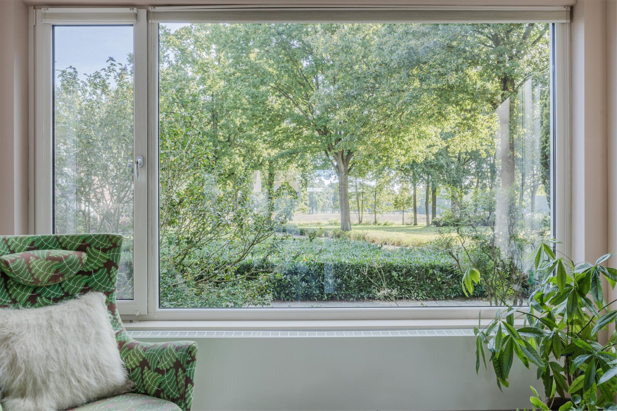 Foto 3 van Multatuliplantsoen 15