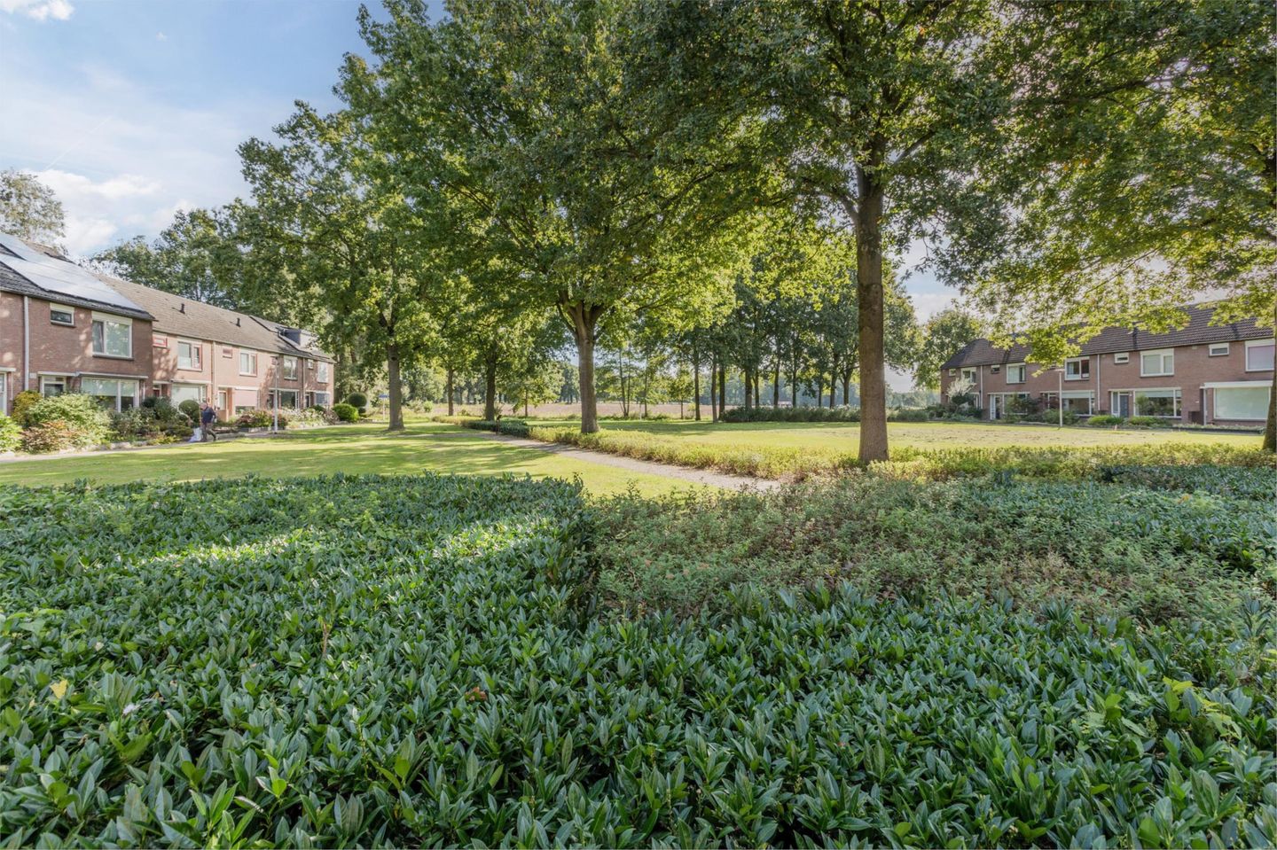 Foto 4 van Multatuliplantsoen 15