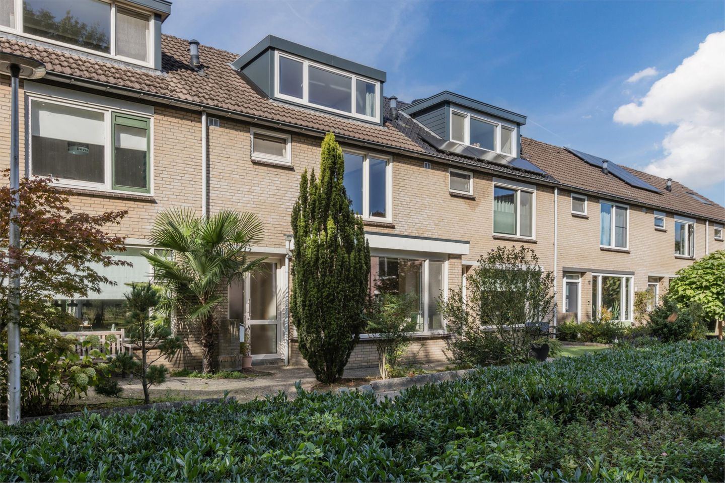 Foto 5 van Multatuliplantsoen 15