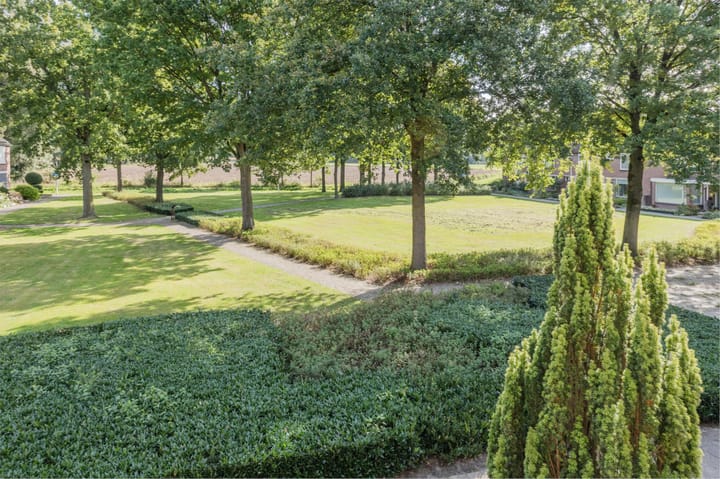 Foto 22 van Multatuliplantsoen 15