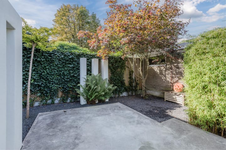 Foto 46 van Multatuliplantsoen 15