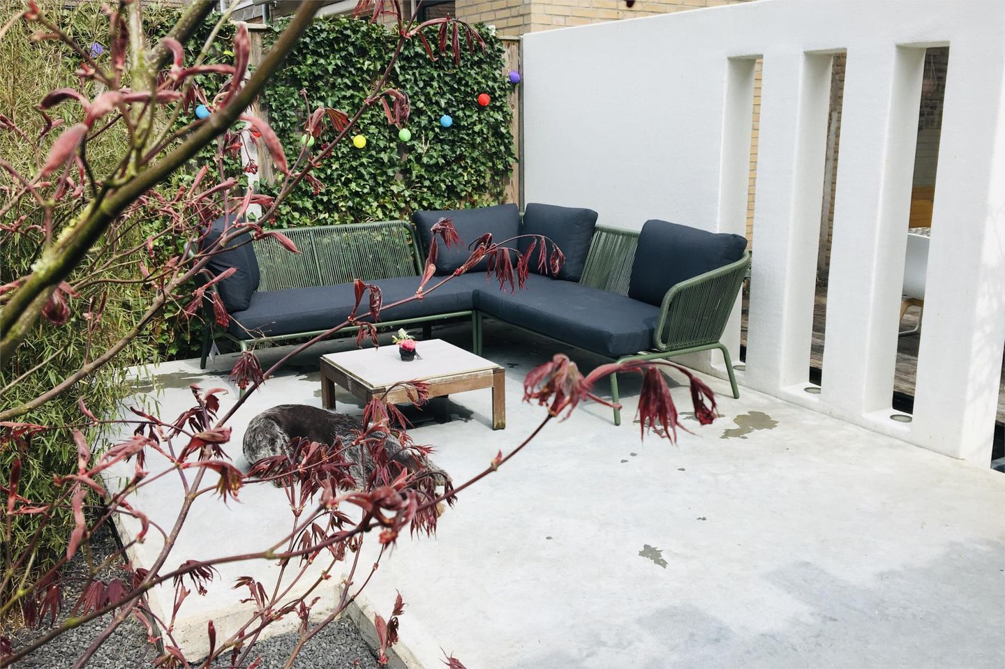 Foto 50 van Multatuliplantsoen 15