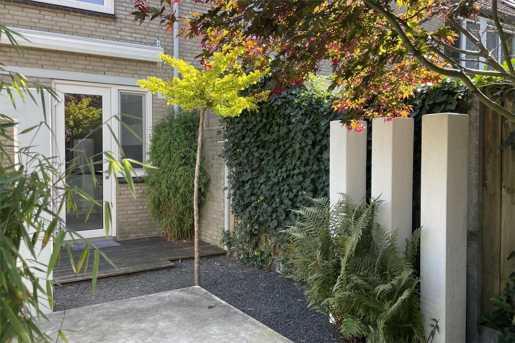 Foto 51 van Multatuliplantsoen 15