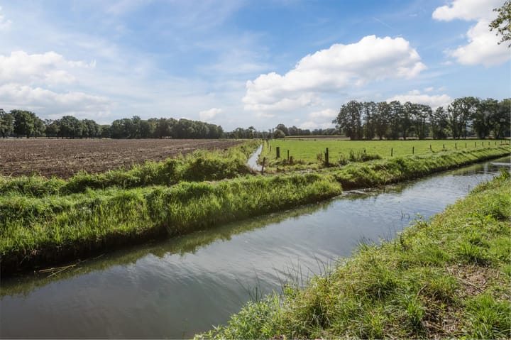 Foto 58 van Multatuliplantsoen 15