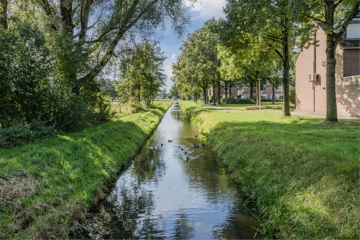 Foto 59 van Multatuliplantsoen 15