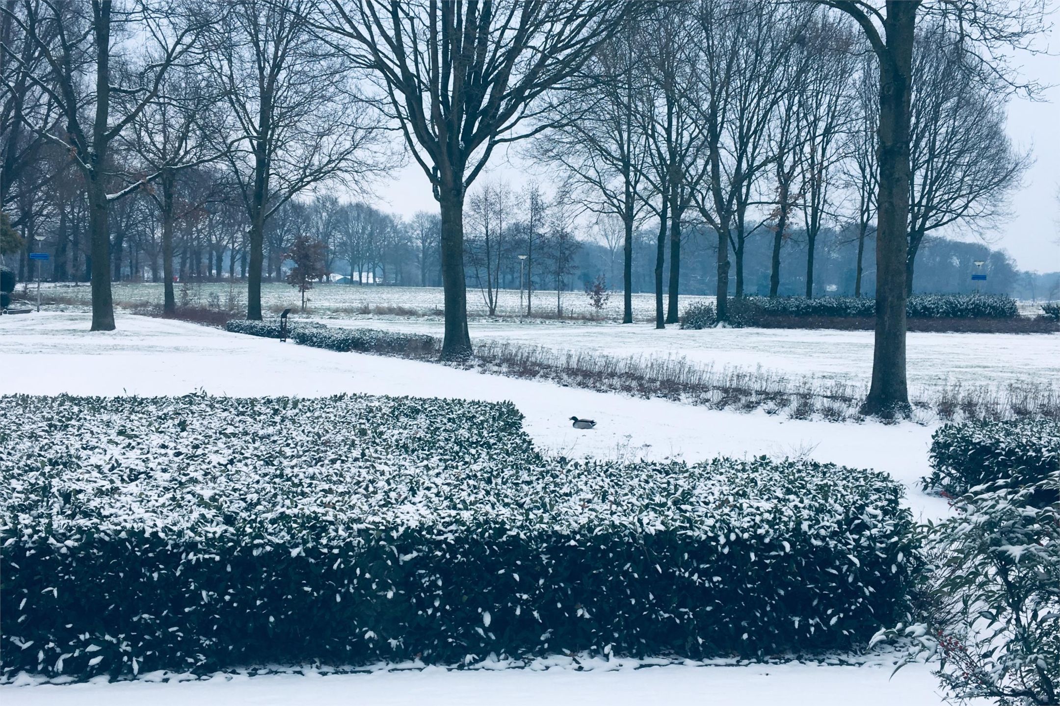 Foto 60 van Multatuliplantsoen 15