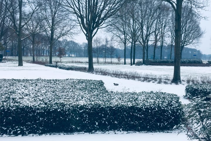 Foto 60 van Multatuliplantsoen 15