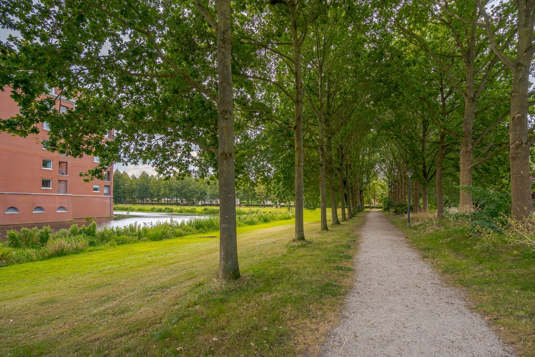 Foto 47 van Waterborgh 4