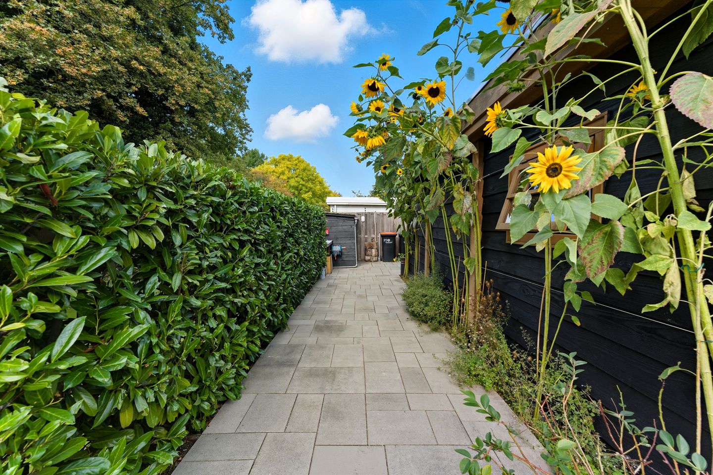 Foto 49 van Watervluchtmolen 30