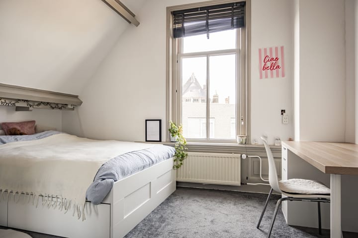 Foto 51 van Eerste Emmastraat 10