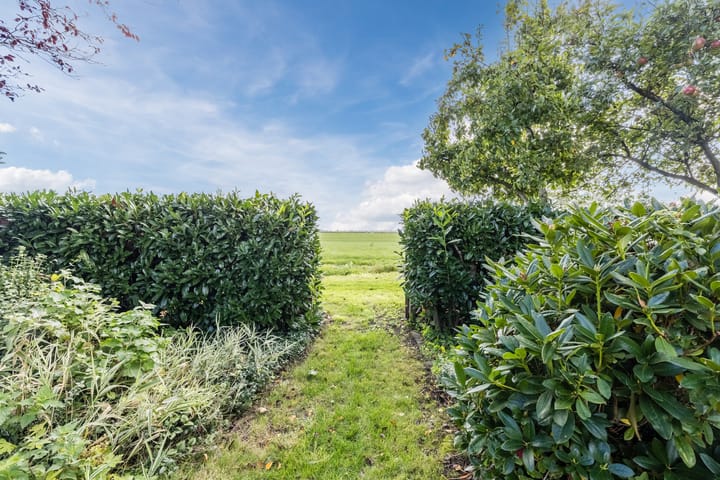 Foto 67 van Schoolstraat 55