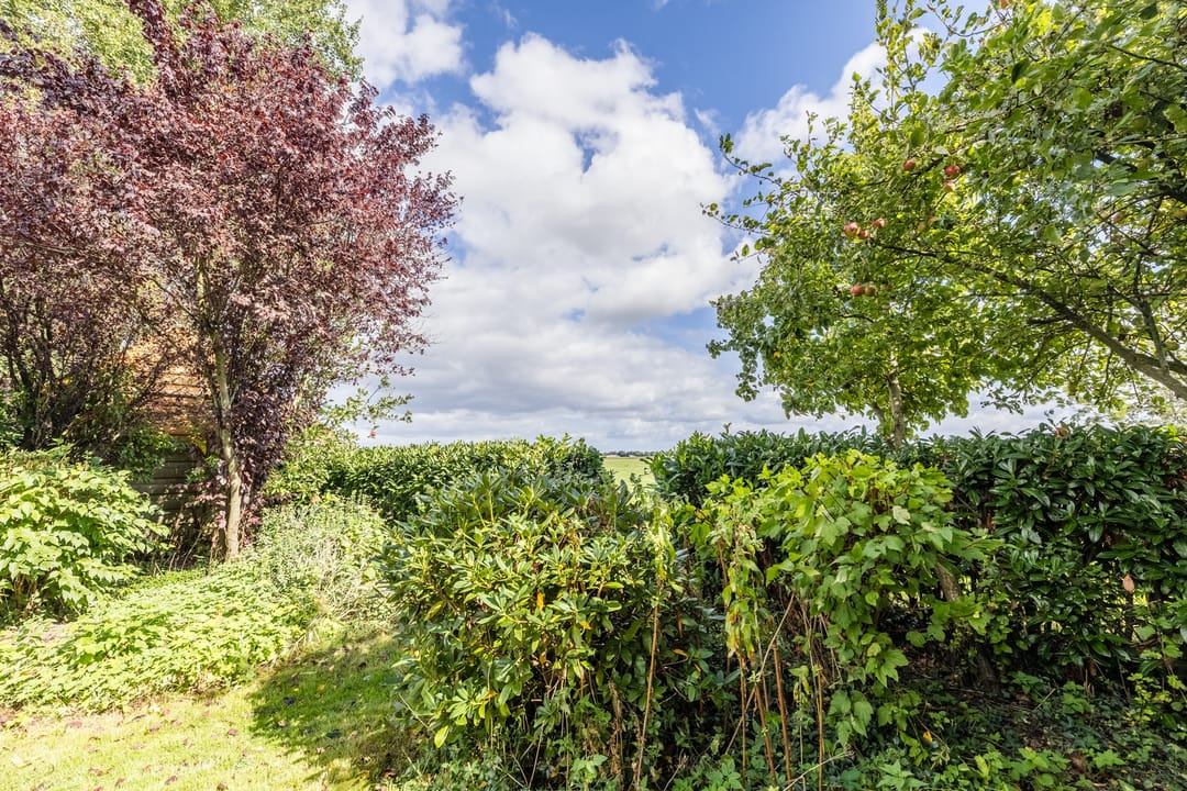 Photo 76 of Schoolstraat 55