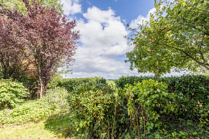 Foto 76 van Schoolstraat 55