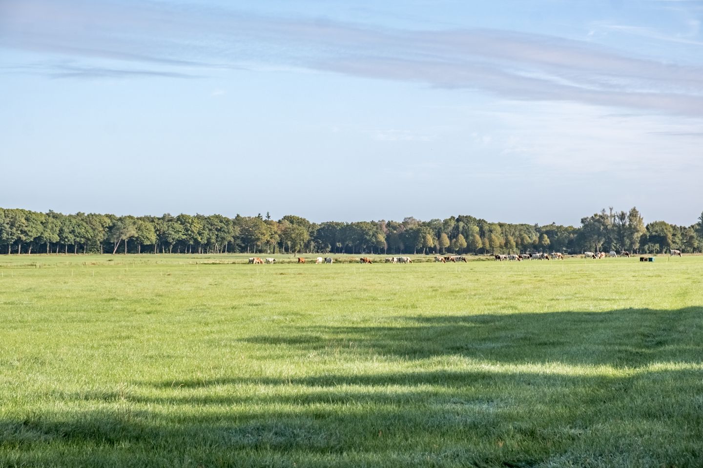 Foto 50 van Vessemseweg 2