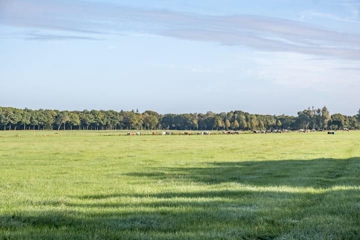 Foto 50 van Vessemseweg 2