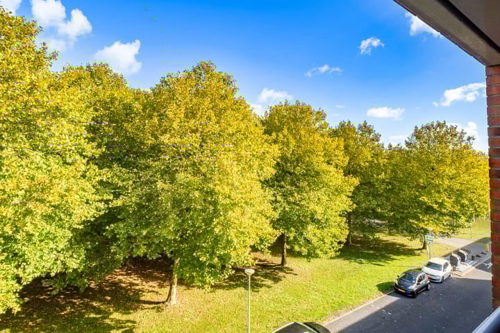 Foto 19 van St.-Pietersberg 34