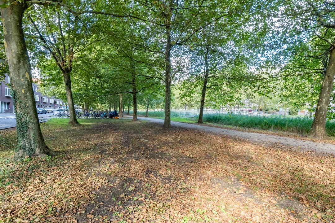 Foto 31 van St.-Pietersberg 34