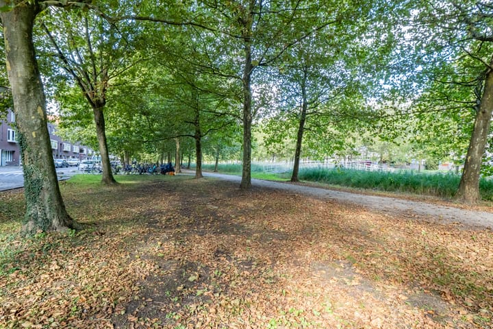 Foto 31 van St.-Pietersberg 34