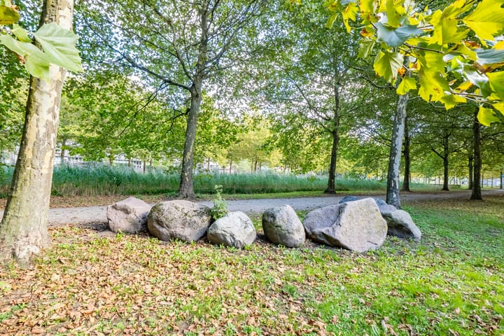 Foto 32 van St.-Pietersberg 34