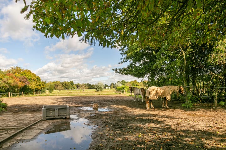 Foto 36 van Ewijkseweg 4