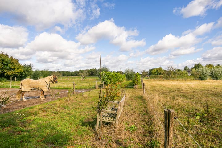 Foto 37 van Ewijkseweg 4