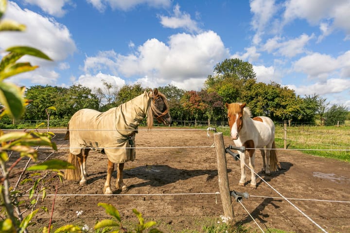 Foto 38 van Ewijkseweg 4