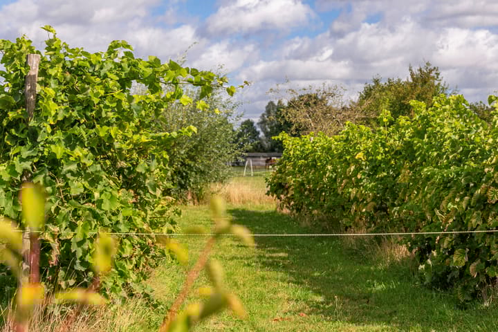 Foto 40 van Ewijkseweg 4