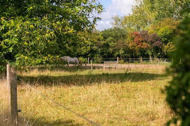 Foto 41 van Ewijkseweg 4