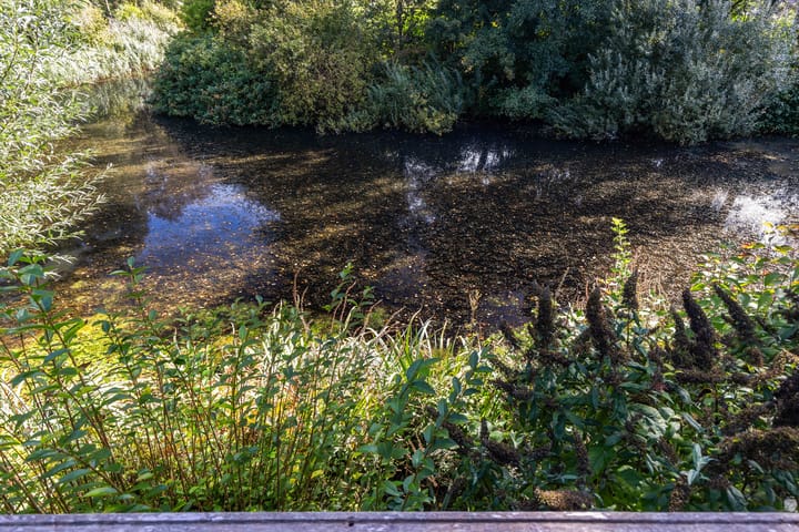 Foto 11 van Kunstenaarshoeve 216