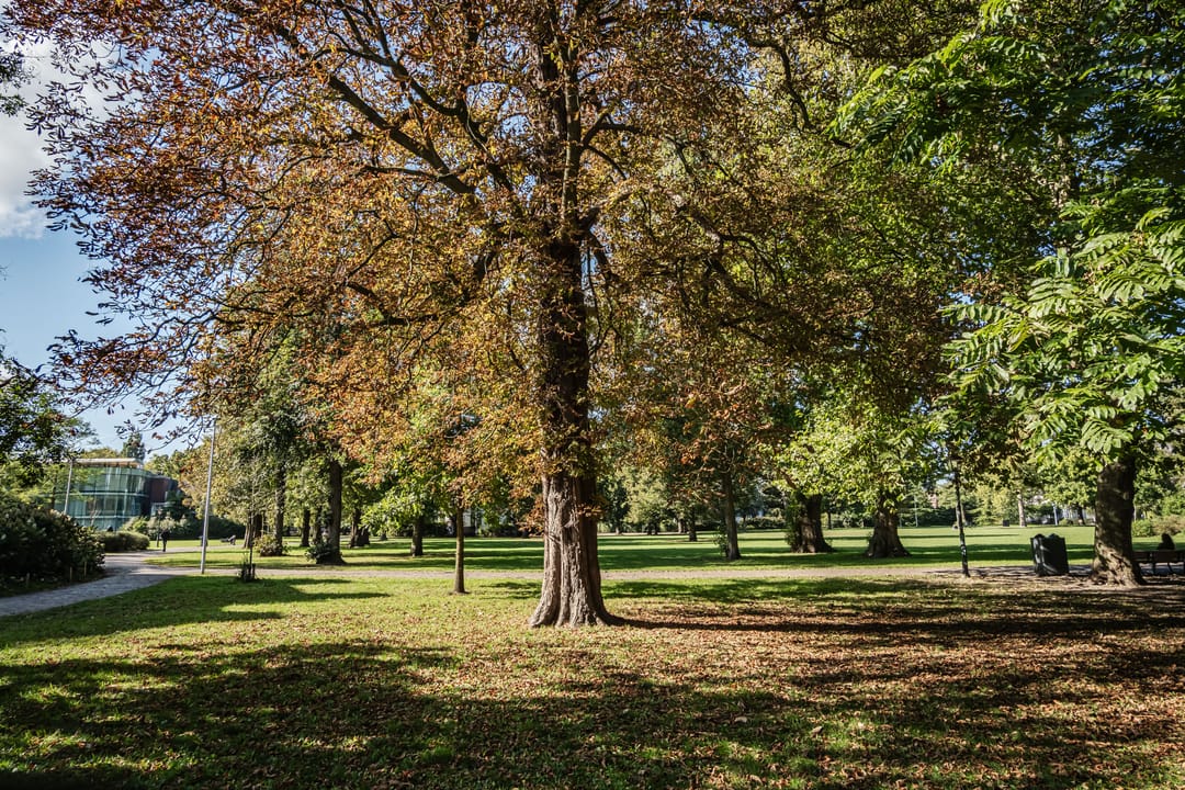 Foto 83 van Kleine Houtweg 71