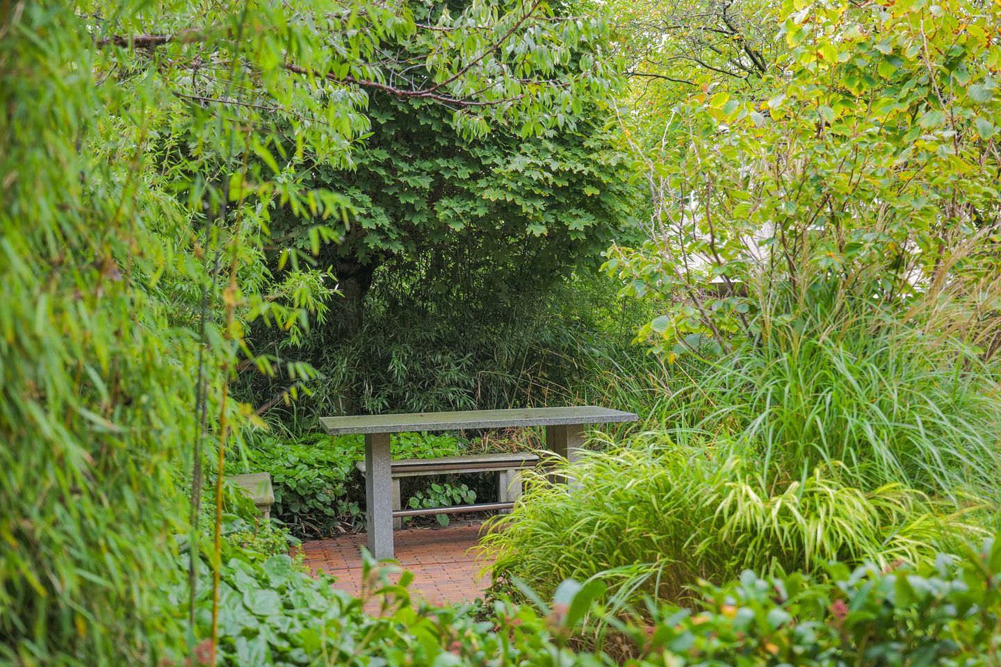 Foto 25 van Continentenlaan 26