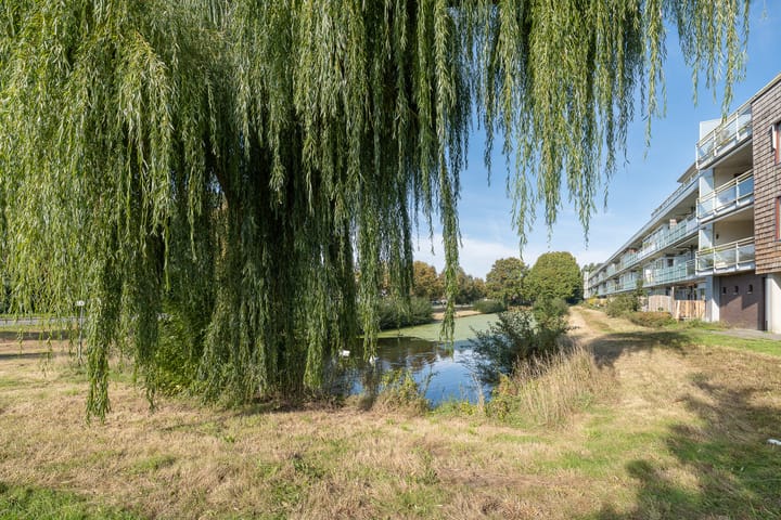 Foto 42 van Groenhoek 142-C