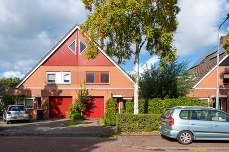 undefined main image