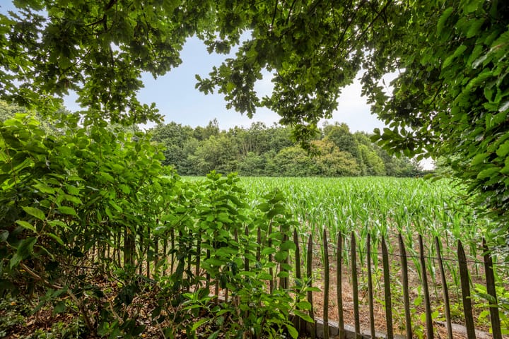 Foto 32 van Groenling 19