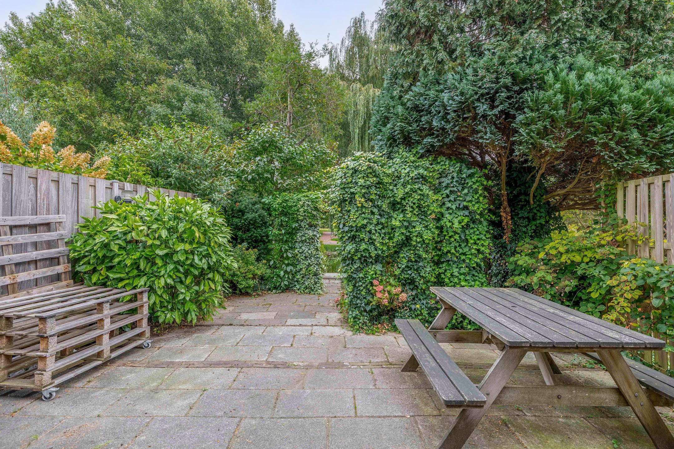 Foto 36 van Standaardmolen 52