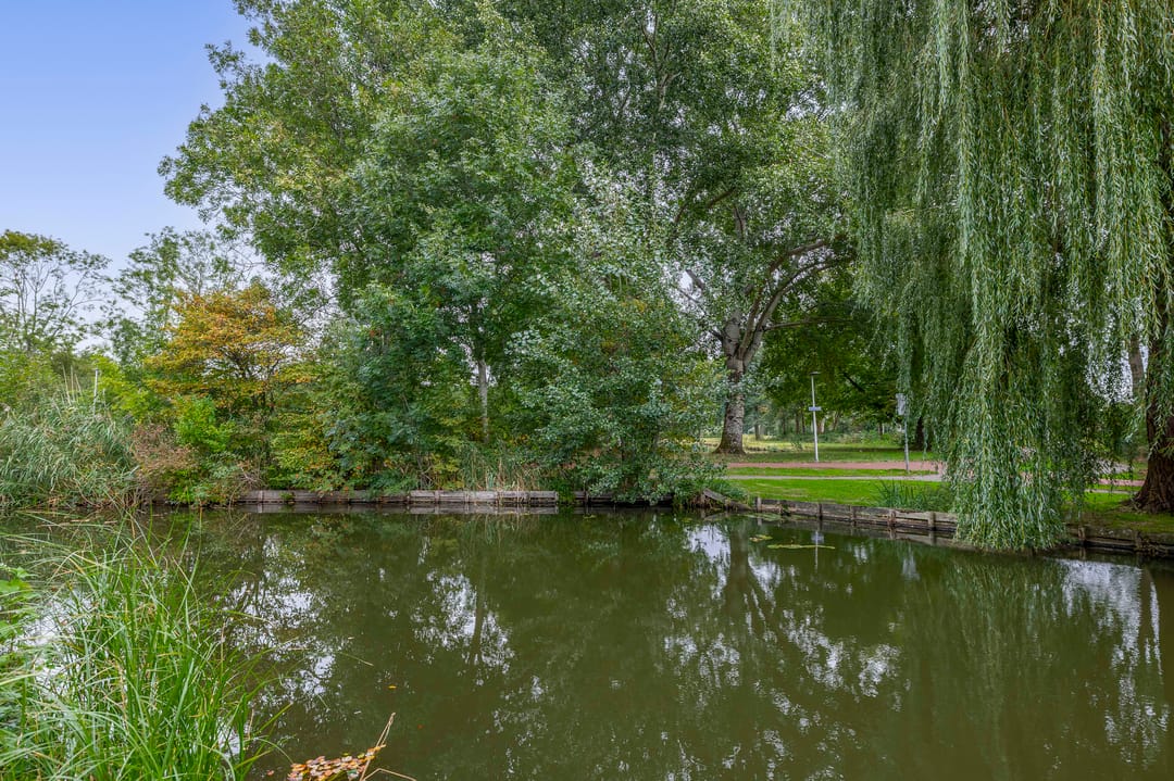 Foto 41 van Standaardmolen 52