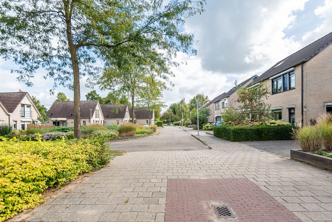 Photo 38 of Roggekamp 32