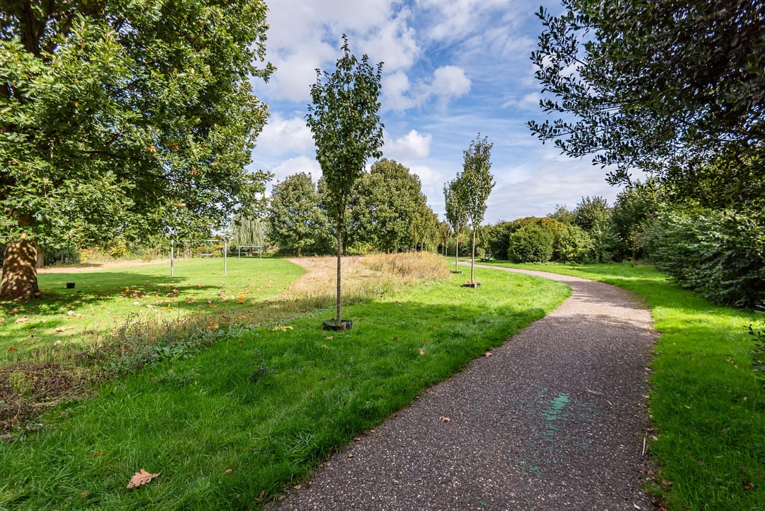 Photo 41 of Roggekamp 32