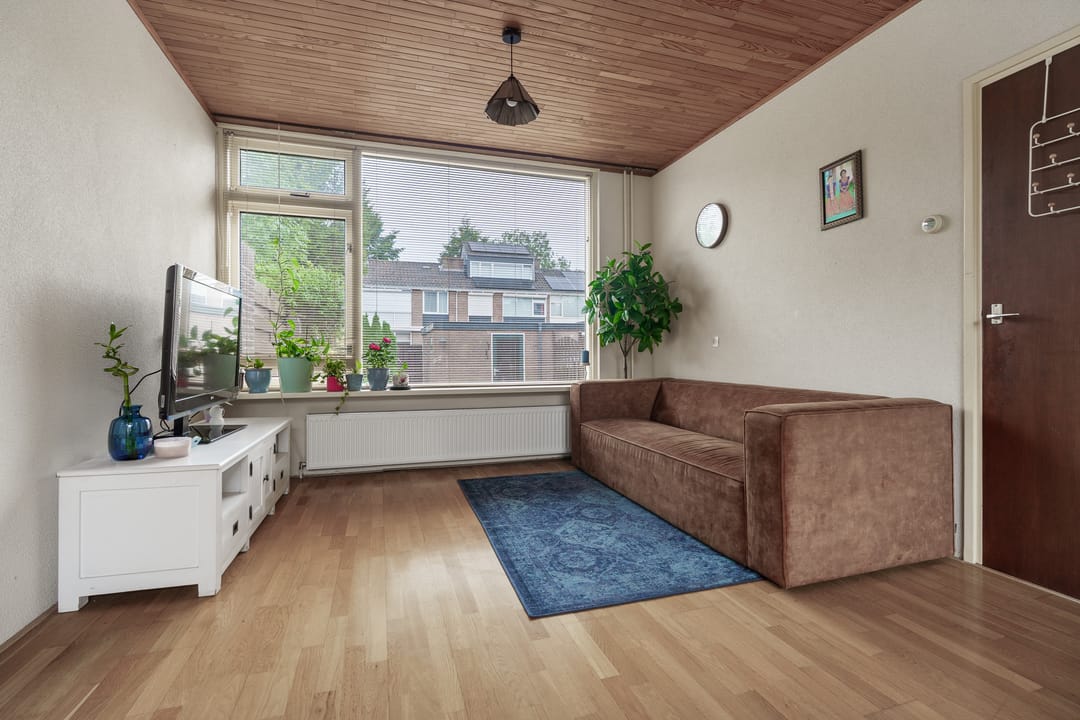 Foto 2 van van Halllaan 8