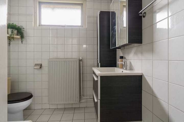 Foto 18 van van Halllaan 8