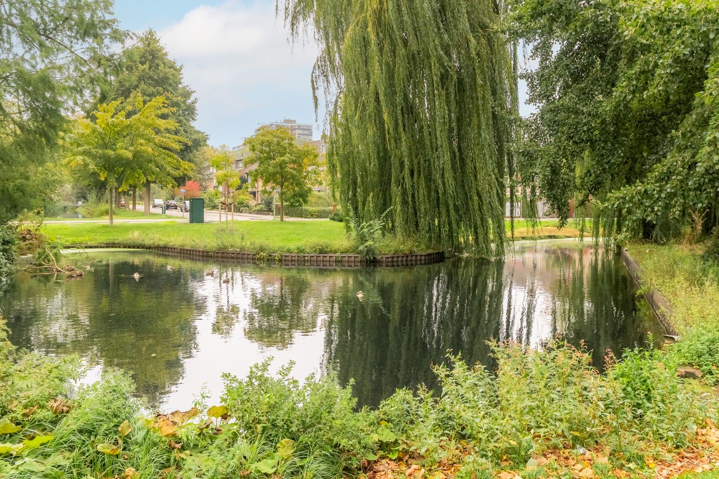 Foto 25 van van Halllaan 8