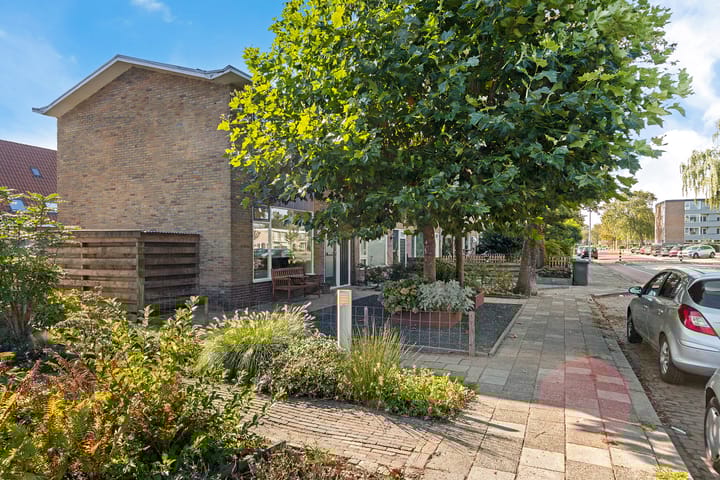 Foto 2 van Worp Tjaardastraat 77