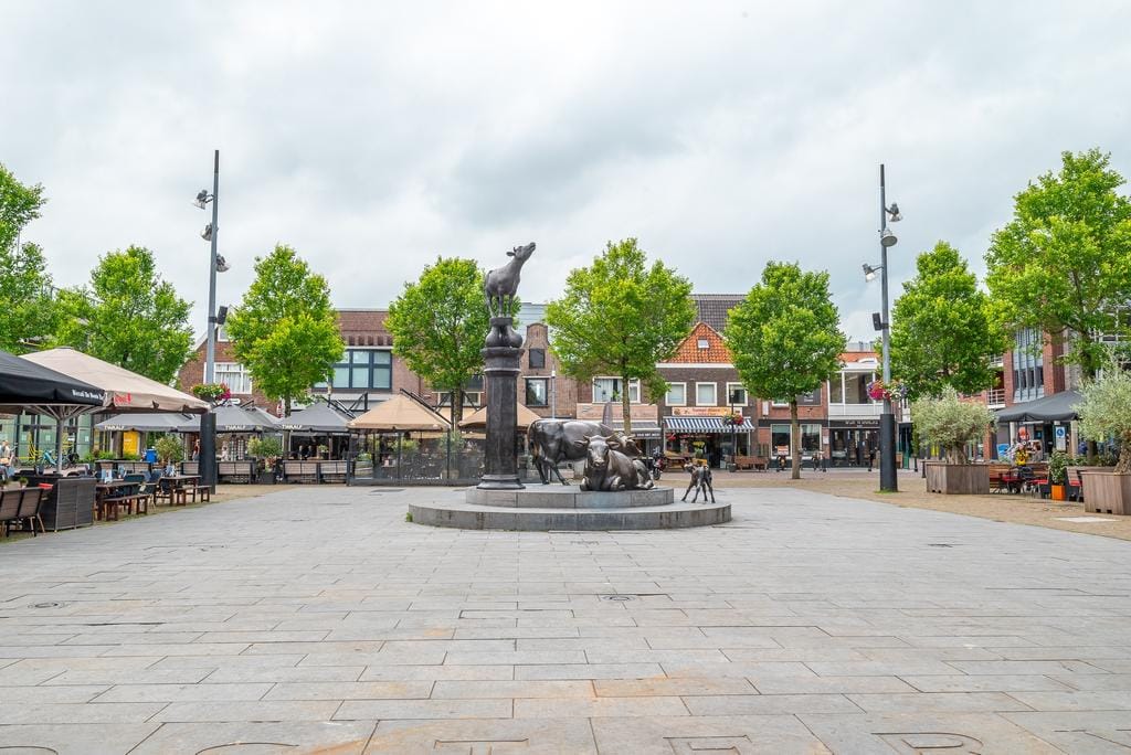 Photo 20 of Rotterdamhaven 13