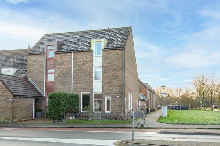 Photo 1 of Paardebloem 131